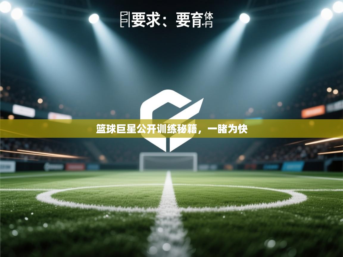 篮球巨星公开训练秘籍，一睹为快  第2张