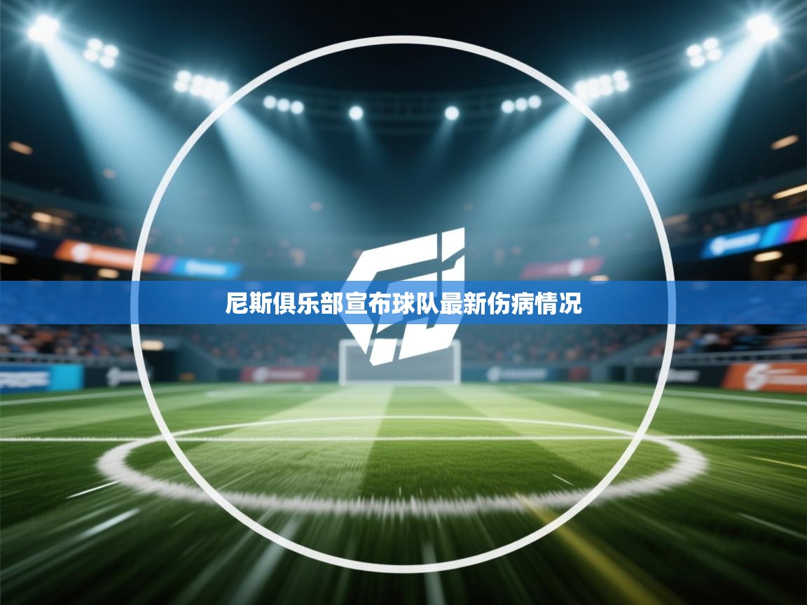 尼斯俱乐部宣布球队最新伤病情况  第1张