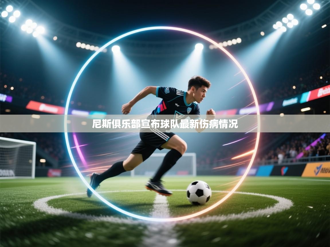 尼斯俱乐部宣布球队最新伤病情况  第2张