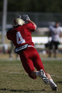 半岛体育全站-曼联赛前训练公开，备战世俱杯冲刺