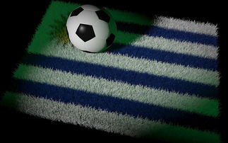 半岛体育官方下载-梅西领衔阿根廷国家队夺得美洲杯冠军，创造历史震撼全球球迷