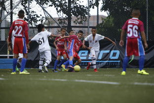 半岛体育官网-亚眠战平昂热，法国足球赛场争夺激烈，法甲亚眠足球俱乐部